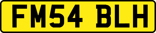 FM54BLH