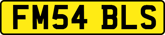 FM54BLS