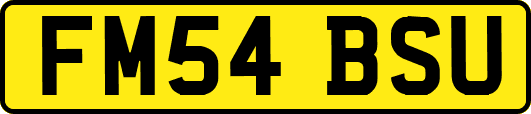 FM54BSU