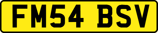 FM54BSV