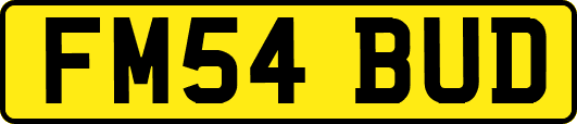 FM54BUD