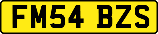 FM54BZS