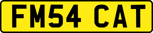 FM54CAT