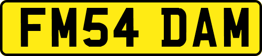 FM54DAM