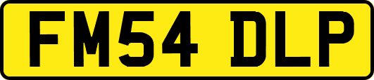 FM54DLP