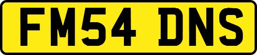 FM54DNS