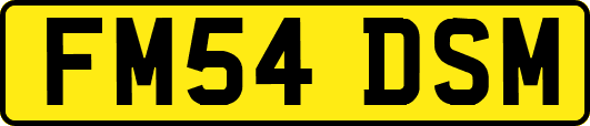 FM54DSM
