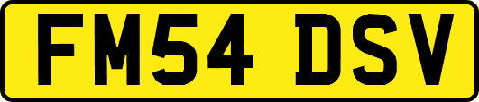 FM54DSV