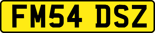 FM54DSZ