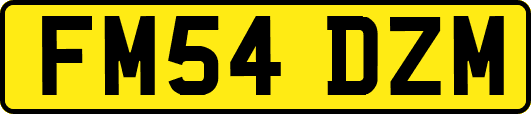 FM54DZM
