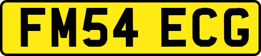 FM54ECG