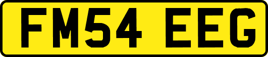 FM54EEG