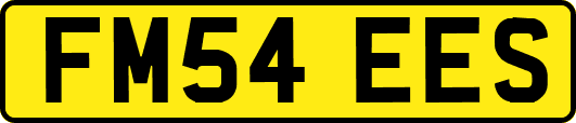 FM54EES