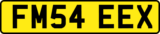 FM54EEX