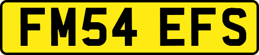 FM54EFS