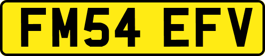 FM54EFV