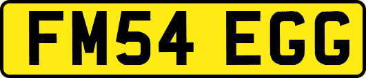 FM54EGG