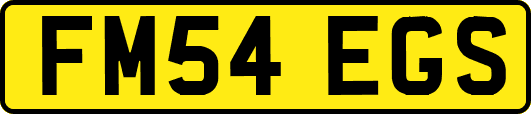 FM54EGS