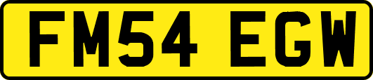 FM54EGW