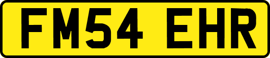 FM54EHR