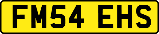 FM54EHS