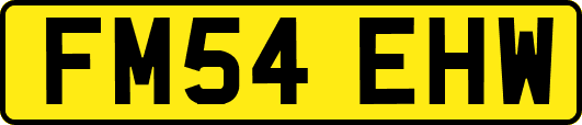 FM54EHW