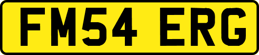 FM54ERG