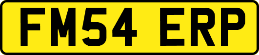 FM54ERP