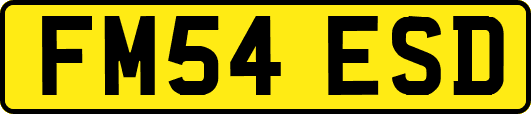 FM54ESD
