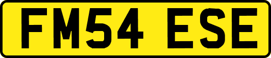 FM54ESE