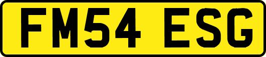 FM54ESG