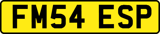 FM54ESP