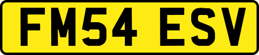 FM54ESV