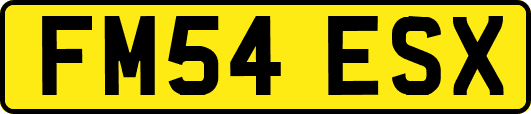 FM54ESX