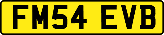 FM54EVB