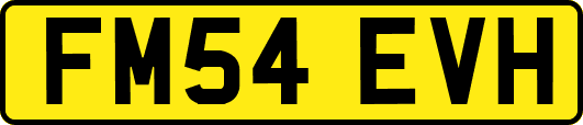 FM54EVH