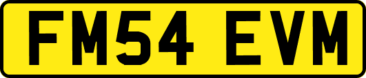 FM54EVM