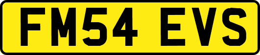 FM54EVS