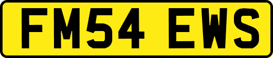 FM54EWS