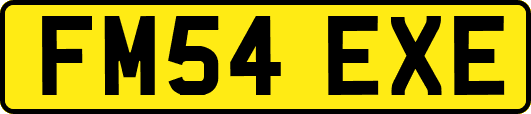 FM54EXE