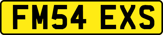 FM54EXS