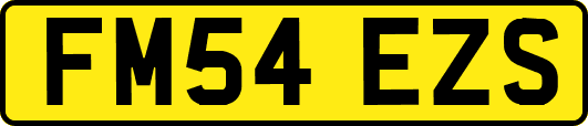 FM54EZS