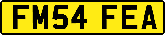 FM54FEA