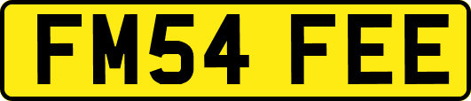 FM54FEE