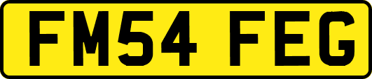FM54FEG