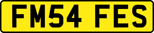 FM54FES