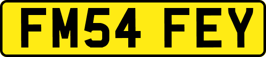 FM54FEY