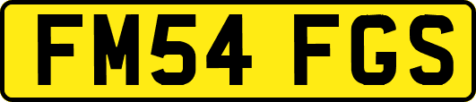 FM54FGS