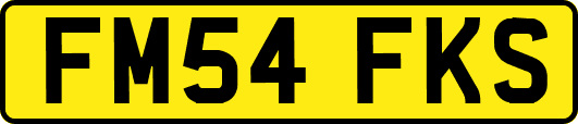 FM54FKS