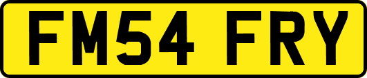 FM54FRY